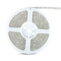 Taśma LED V-TAC SMD5050 150LED IP65 RĘKAW 4,8W/m VT-5050 30-IP65-N 3000K 500lm