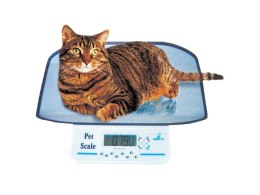 MOMERT DIGITAL VET small pets Waga weterynaryjna