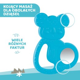 GRYZAK KOALA 4M+ BOY CHICCO Gryzak ze stalą nierdzewną