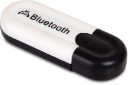 Adapter Bluetooth USB dla wzmacniaczy HQM