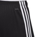 Spodenki męskie adidas Tastigo 19 Shorts czarne DP3246