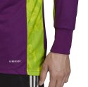 Bluza bramkarska adidas AdiPro 20 Goalkeeper Jersey Longsleeve fioletowa FI4194