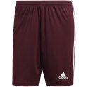 Spodenki męskie adidas Squadra 21 Short bordowe GN8083