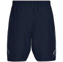 Spodenki męskie Under Armour Woven Graphic Shorts granatowe 1309651 409