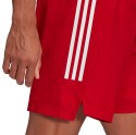 Spodenki męskie adidas Condivo 21 Primeblue Shorts czerwone GJ6810