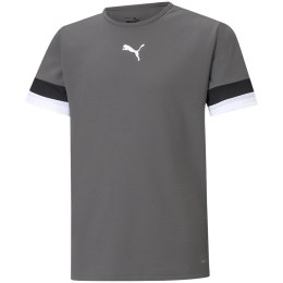 Koszulka dla dzieci Puma teamRISE Jersey Jr szara 704938 13