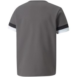 Koszulka dla dzieci Puma teamRISE Jersey Jr szara 704938 13