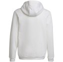 Bluza dla dzieci adidas Entrada 22 Hoody biała HG6303