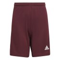 Spodenki dla dzieci adidas Squadra 21 Short bordowe GN8081