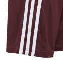 Spodenki dla dzieci adidas Squadra 21 Short bordowe GN8081