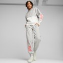 Bluza damska Puma Power Colorblock Hoodie FL szaro-biała 676023 04