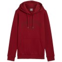 Bluza damska Puma Ess+ Logo LAB Hoodie FL bordowa 682987 13