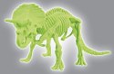 Triceratops Fluorescencyjny | Skamieniałości