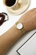 ZEGAREK DAMSKI DANIEL WELLINGTON DW00100350 - Petite Evergold 28mm