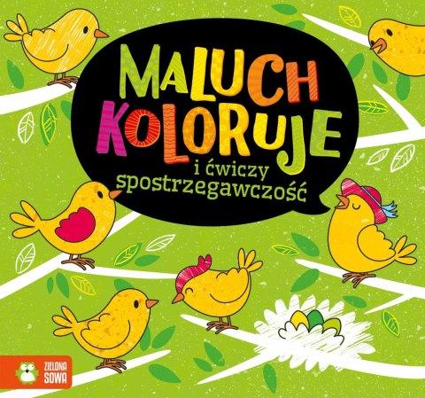 Maluch koloruje i ćwiczy spostrzegawczość