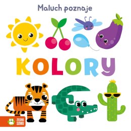 Maluch poznaje kolory, słowa. Kolory