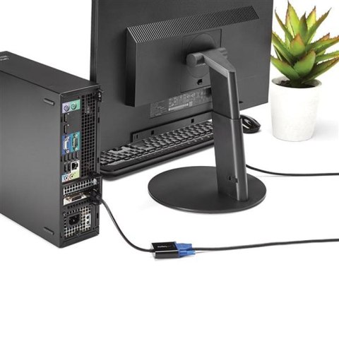 StarTech DP2VGA3X5 adapter kablowy 0,1 m DisplayPort VGA (D-Sub) Czarny StarTech DP2VGA3X5 adapter kablowy 0,1 m DisplayPort VGA (D-Sub) Czarny