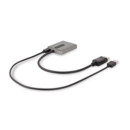 StarTech MST14DP122DP adapter kablowy 0,3 m DisplayPort 2 x DVI Szary