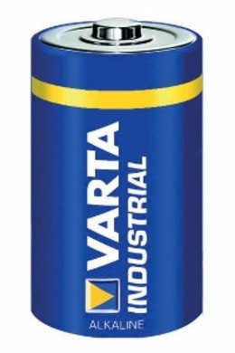 Varta 04020211111 Jednorazowa bateria D Alkaliczny