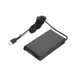 Lenovo GX20Z46287 adapter zasilający/ inwentor Wewnętrzna 170 W Czarny