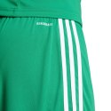 Spodenki męskie adidas Squadra 25 zielone JN7482