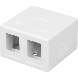 Techly IWP-MD SC-2T akcesorium do modułów keystone Skrzynka rozdzielcza