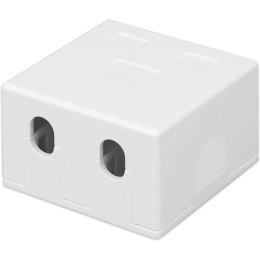 Techly IWP-MD SC-2T akcesorium do modułów keystone Skrzynka rozdzielcza